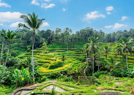 Luxury Villa in Bali