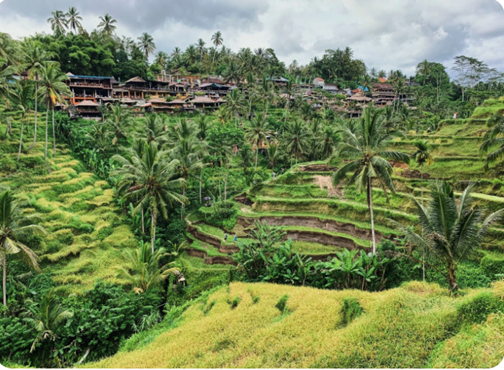 Luxury Villa in Bali